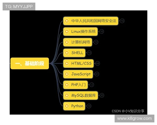 凯发手机版登录线路安全性分析及优化措施提升账户安全保障