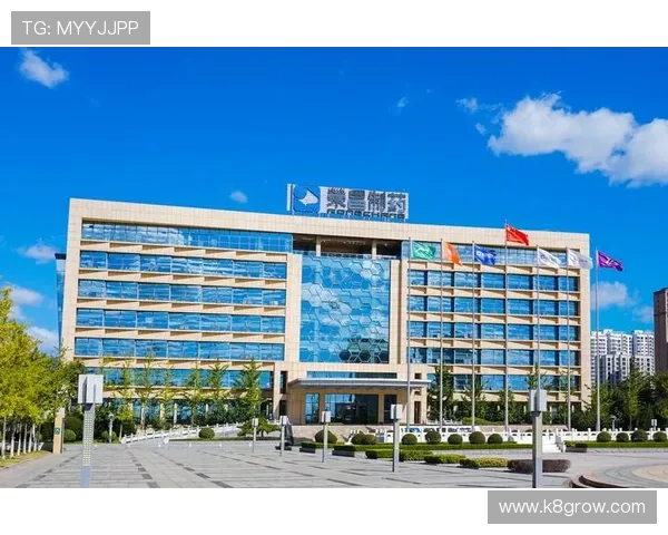 凯发集团平台免费下载app，官方正版保障用户权益